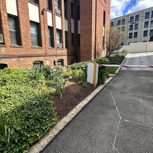 a road with bushes and buildings on the side